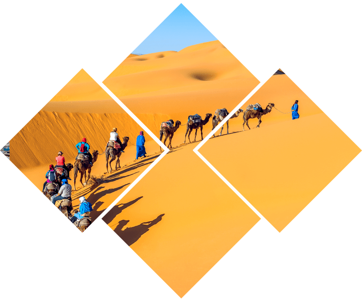 https://www.marrakech-xperience.com/wp-content/uploads/2022/05/discover-south_11.png
