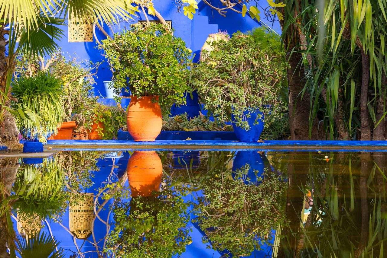 jardin-majorelle-marrakech jardin-majorelle-marrakech